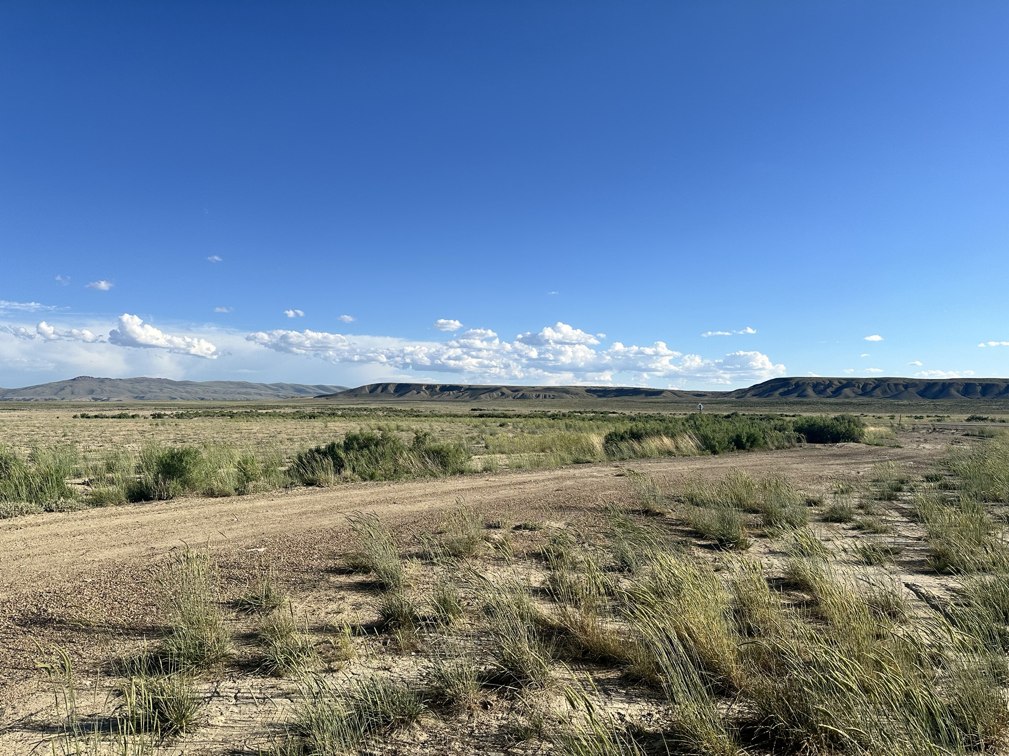 Happy Vegan Campers BLM dispersed camping in Wyoming