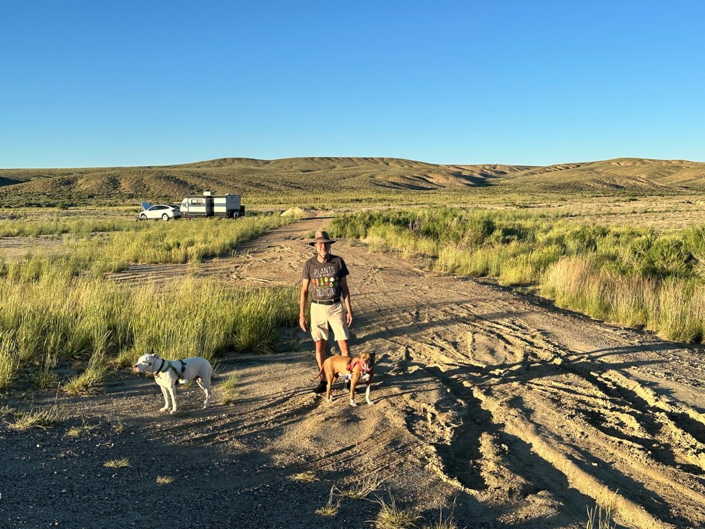 Happy Vegan Campers BLM dispersed camping in Wyoming