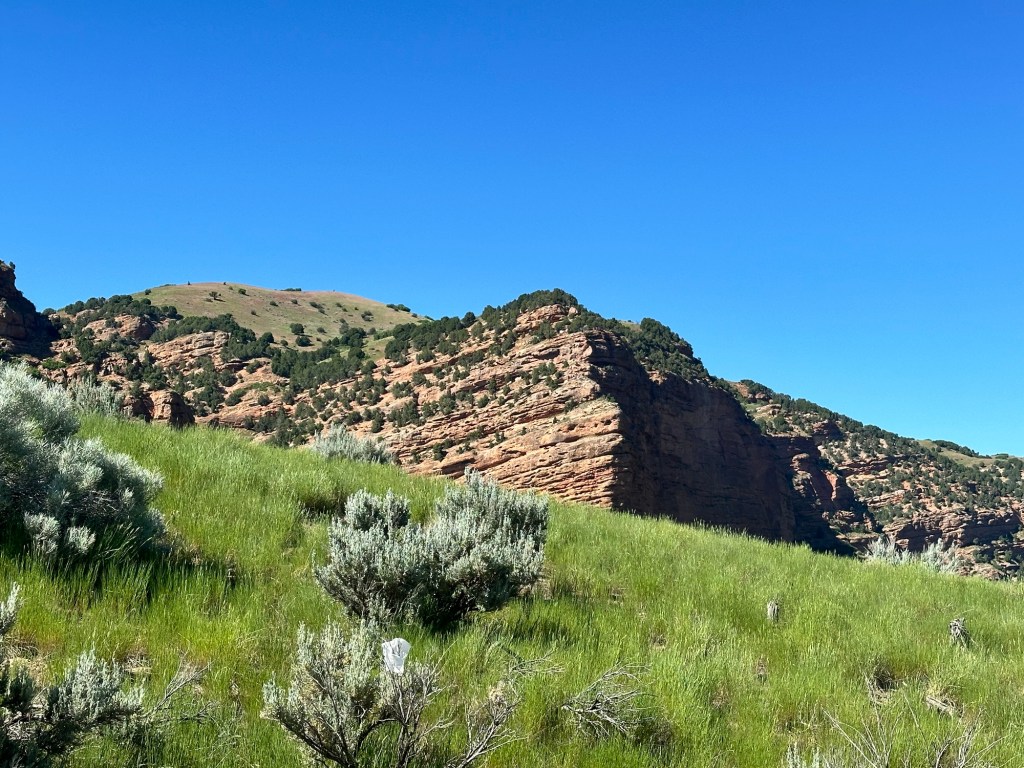Happy Vegan Campers view of Utah hills