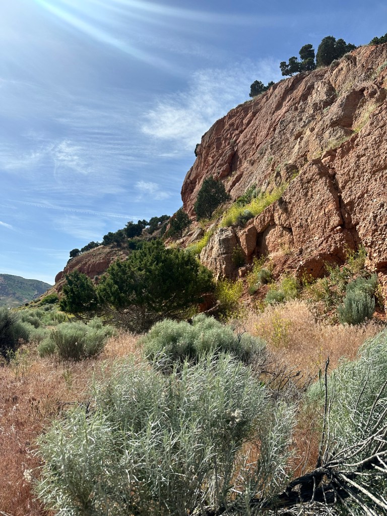 Happy Vegan Campers Echo Reservoir Coalville Utah
