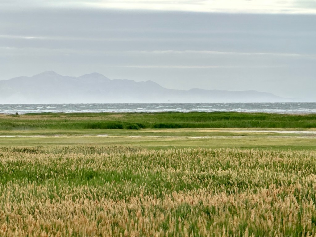 Happy Vegan Campers Great Salt Lake in Salt Lake City Utah