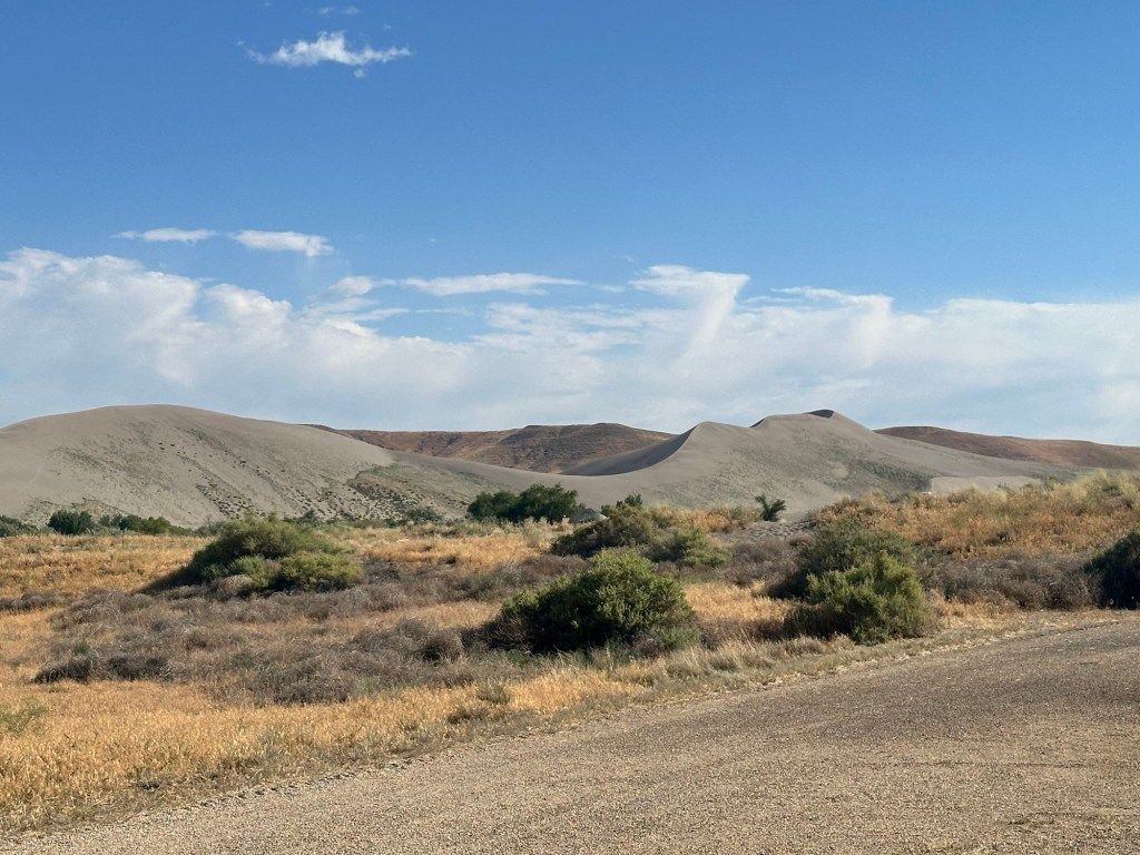 Happy Vegan Campers Bruneau Dunes State Park in Bruneau Idaho