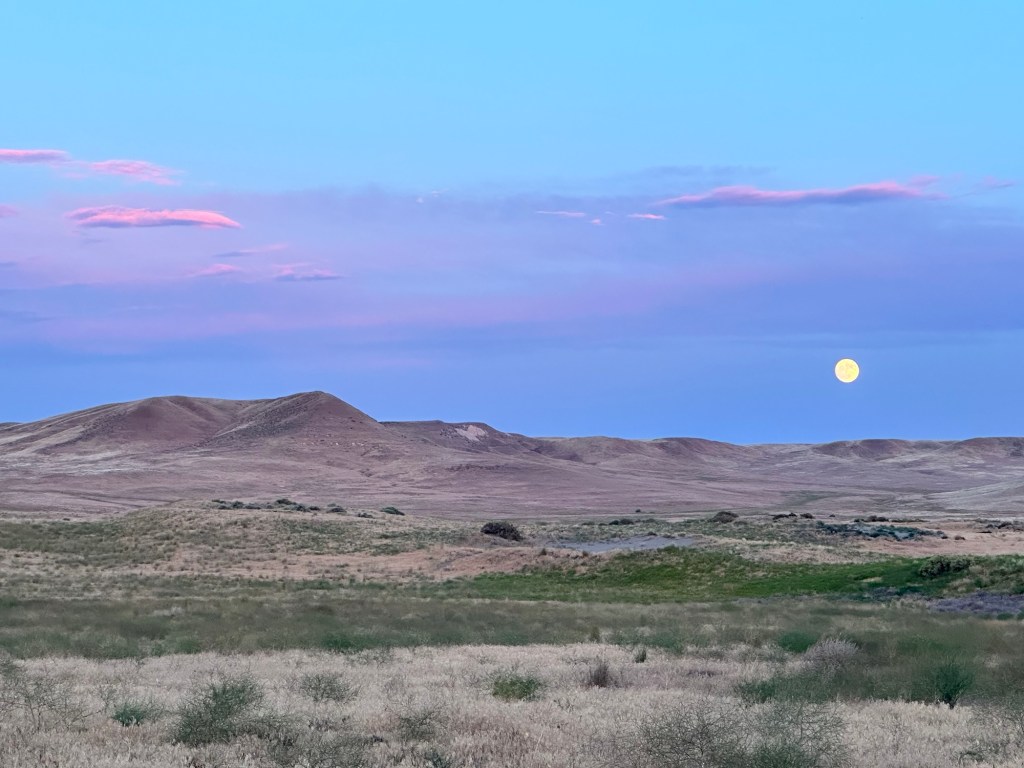Happy Vegan Campers Bruneau Dunes State Park in Bruneau Idaho
