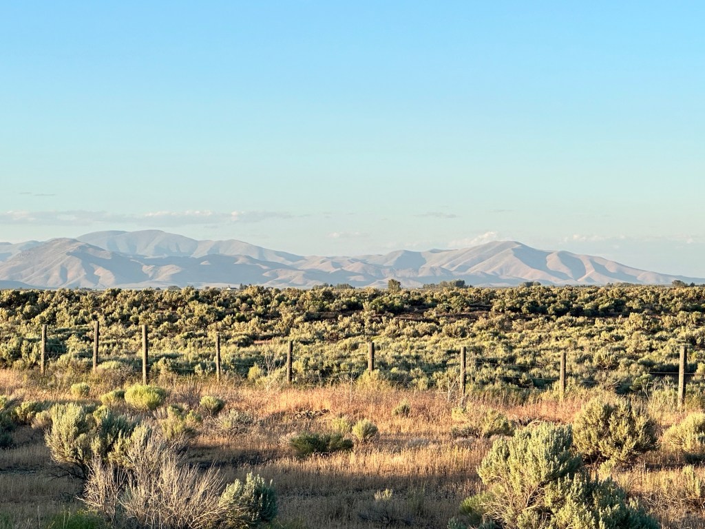Happy Vegan Campers Idaho