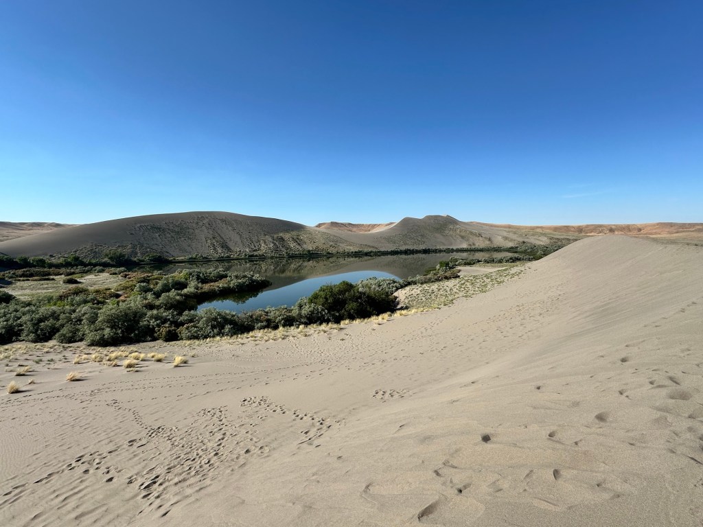 Happy Vegan Campers Bruneau Dunes State Park Idaho