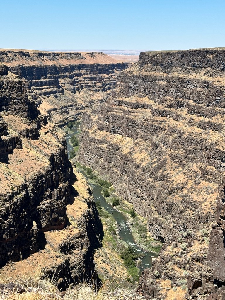 Happy Vegan Campers Bruneau Canyon Overlook Idaho