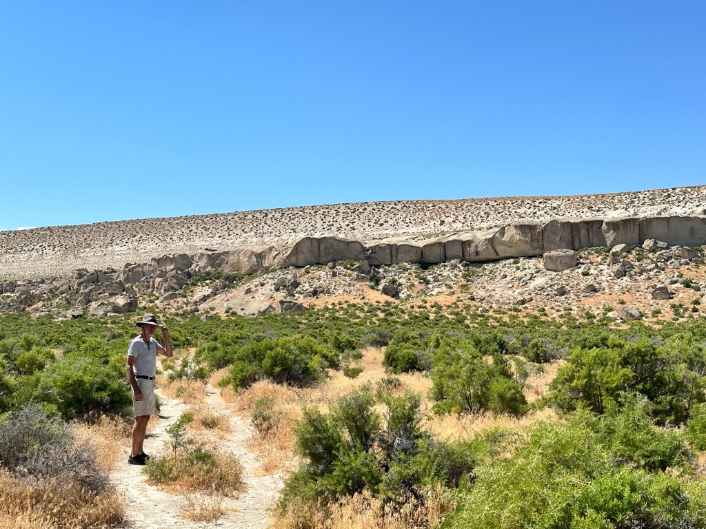 Happy Vegan Campers Shoofly Oolite in Grand View Idaho