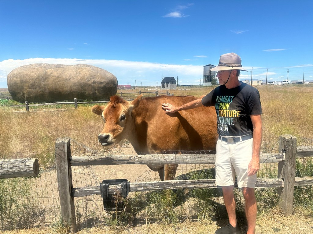 Happy Vegan Campers Dolly the cow and potato hotel in Boise Idaho