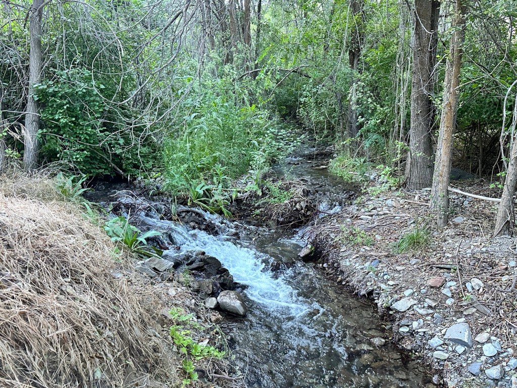 Happy Vegan Campers Hells Canyon Huntington Oregon BLM campsite
