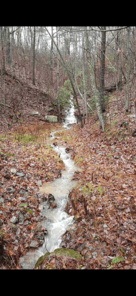 Happy Vegan Campers stream at future site of passive house overlooking Sequatchie Valley