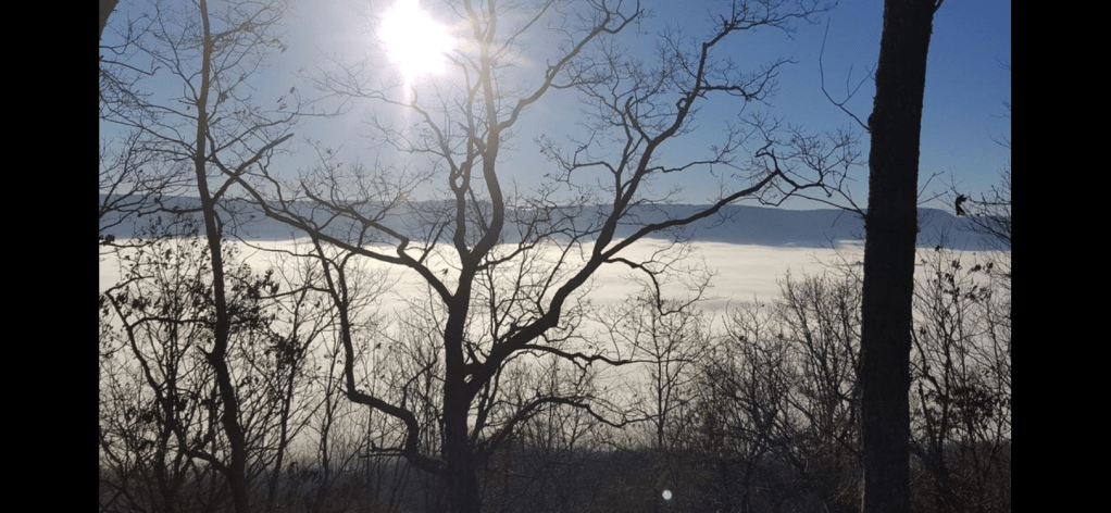 Happy Vegan Campers future site of passive house overlooking Sequatchie Valley