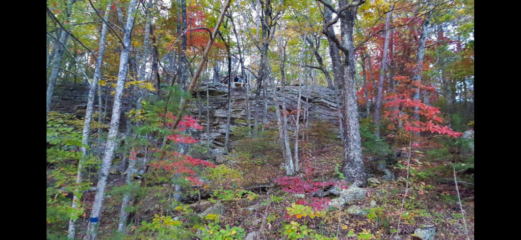 Happy Vegan Campers future site of passive house overlooking Sequatchie Valley