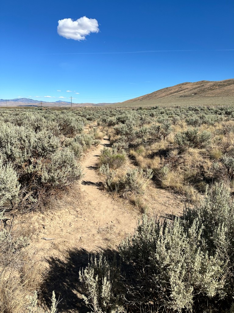 Happy Vegan Campers National Historic Oregon Trail Interpretative Center trail runts Oregon 