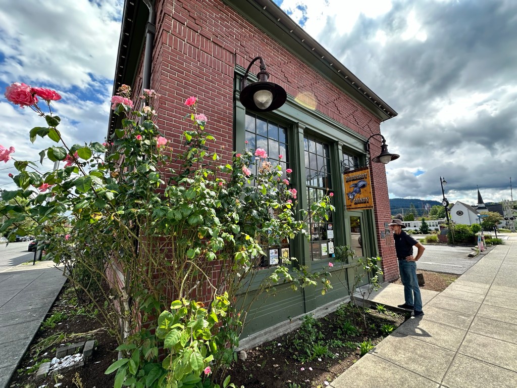 Snoqualmie Washington roses by Happy Vegan Campers