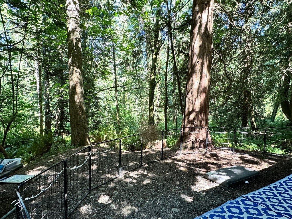 Happy Vegan Campers campsite at Thousand Trails Mount Vernon