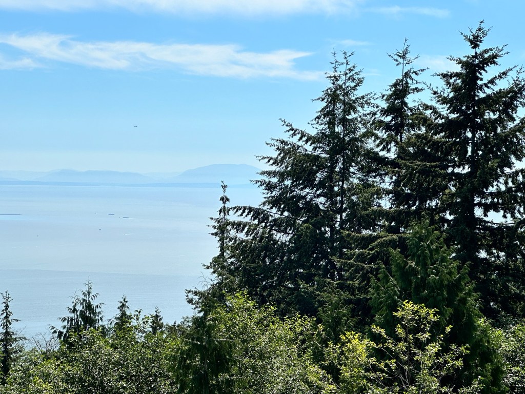View from Cypress Lookout near Vancouver BC by Happy Vegan Campers