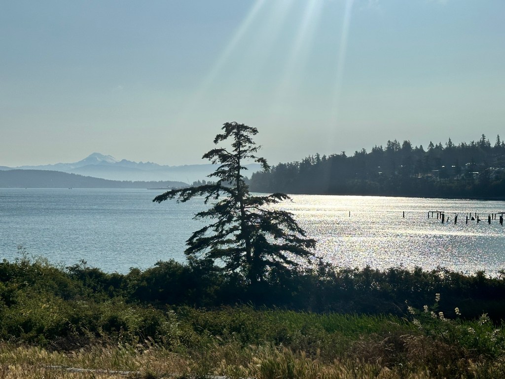View from ferry dock at Anacortes Ferry Terminal by Happy Vegan Campers