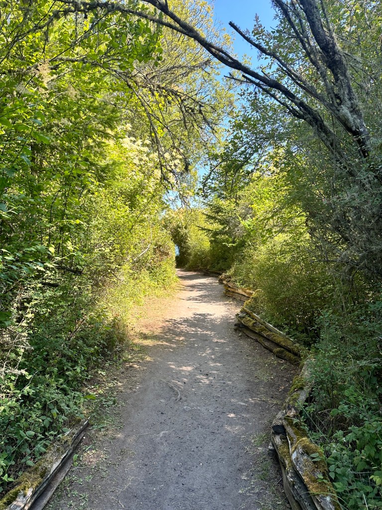 Path to Fourth of July beach on San Juan Island, Washington by Happy Vegan Campers