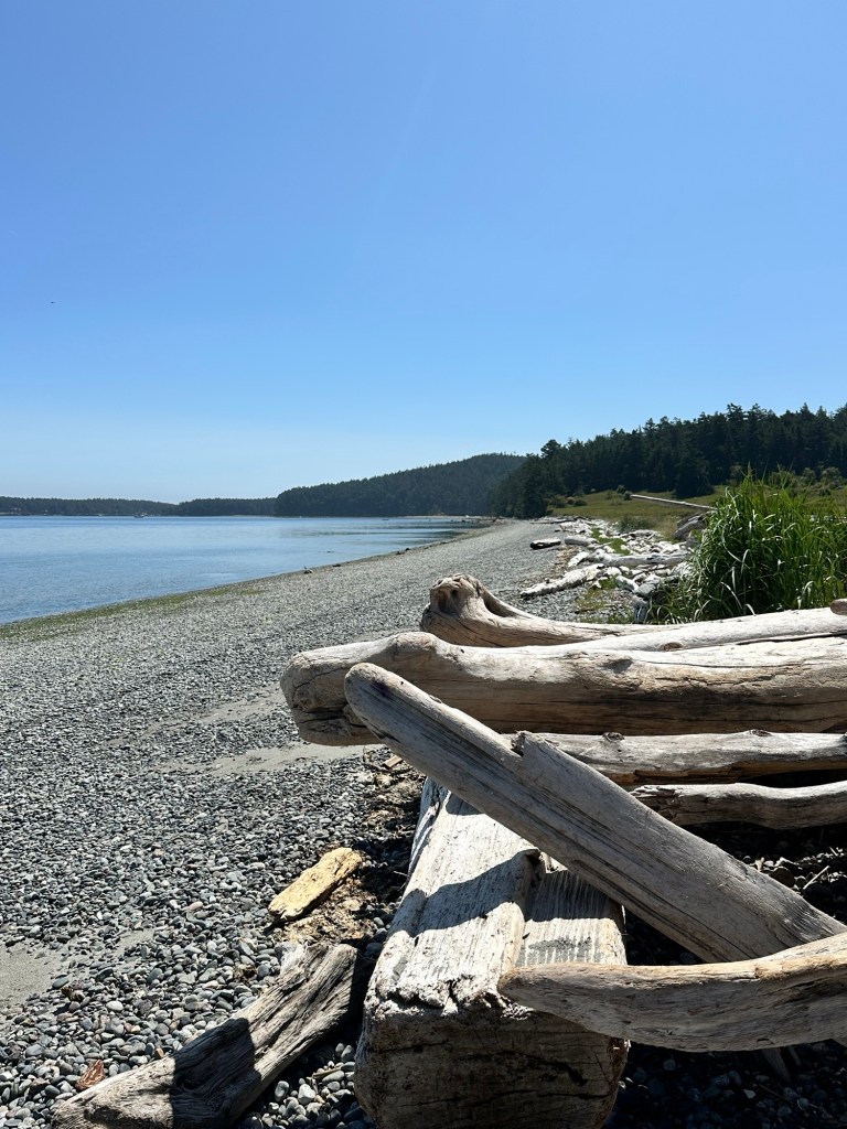 Fourth of July beach on San Juan Island, Washington by Happy Vegan Campers