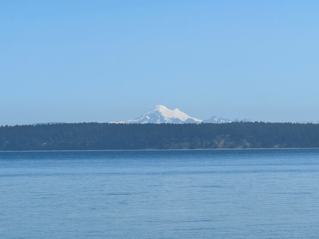 View from Fourth of July beach on San Juan Island, Washington by Happy Vegan Campers