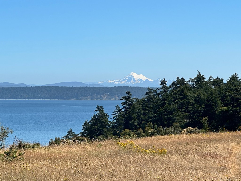 View from American Camp National Park on San Juan Island, Washington by Happy Vegan Campers