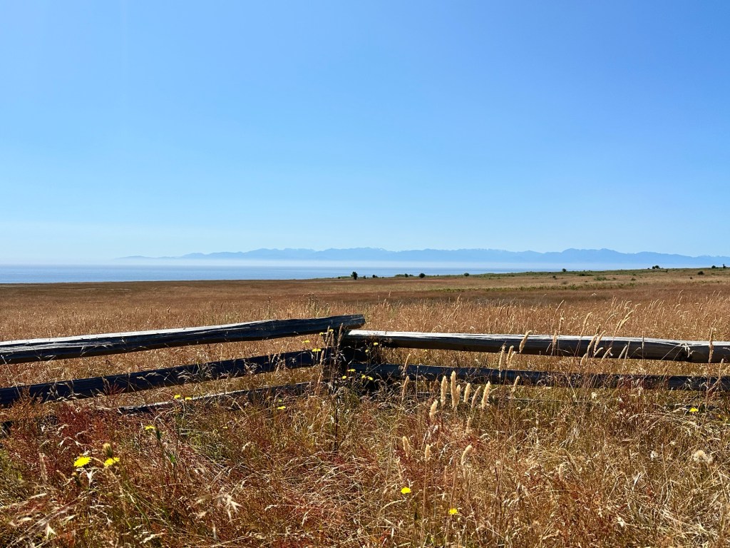 View from American Camp National Park on San Juan Island, Washington by Happy Vegan Campers