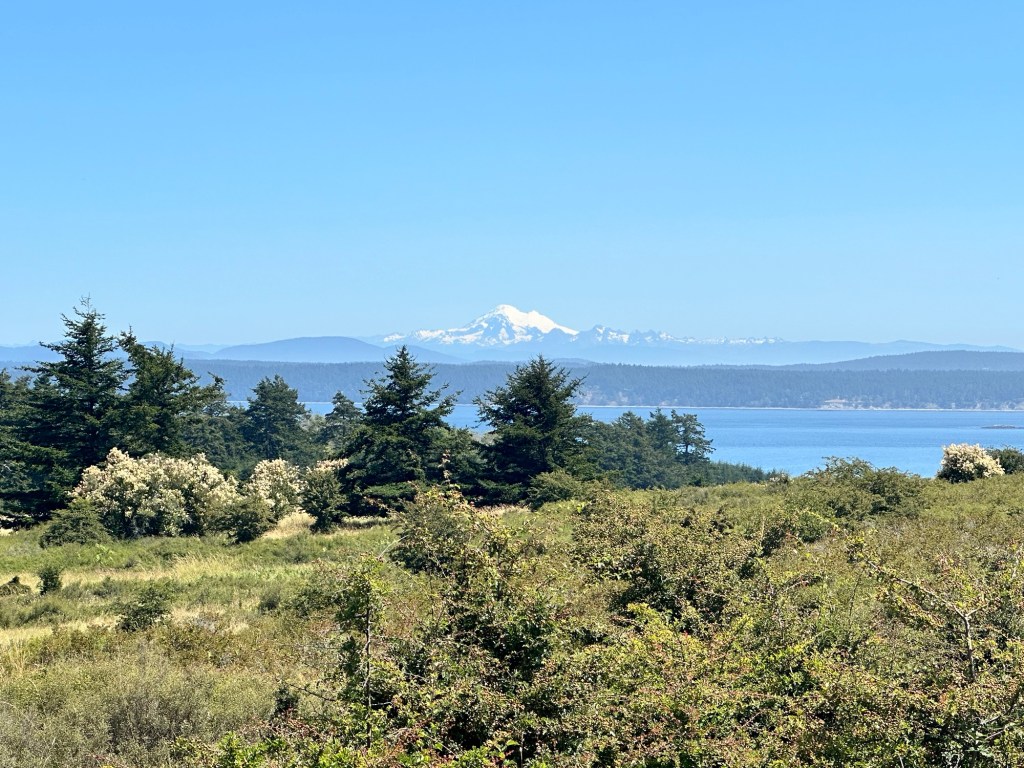 View from American Camp National Park on San Juan Island, Washington by Happy Vegan Campers