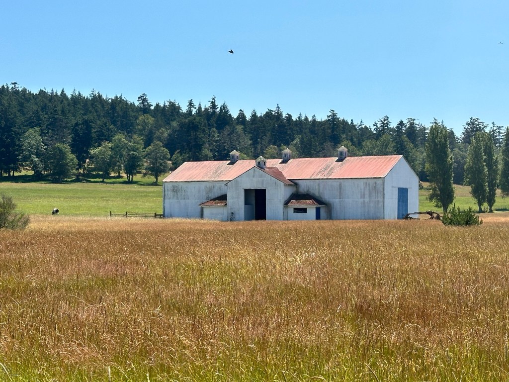 Barn on San Juan Island, Washington by Happy Vegan Campers
