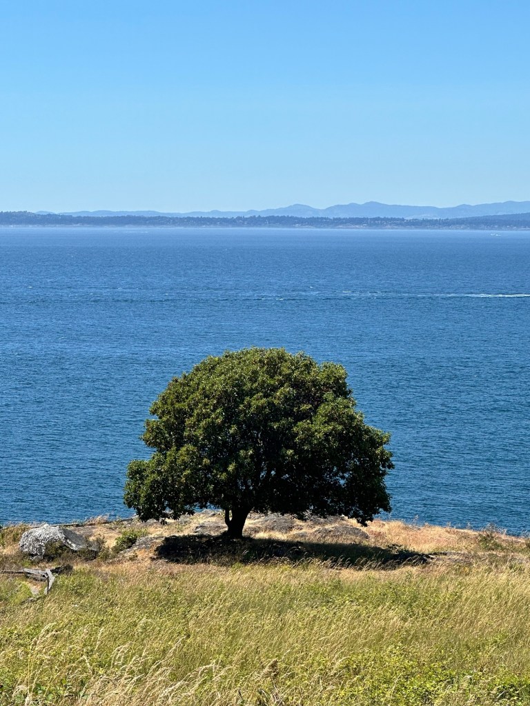 San Juan Island, Washington by Happy Vegan Campers