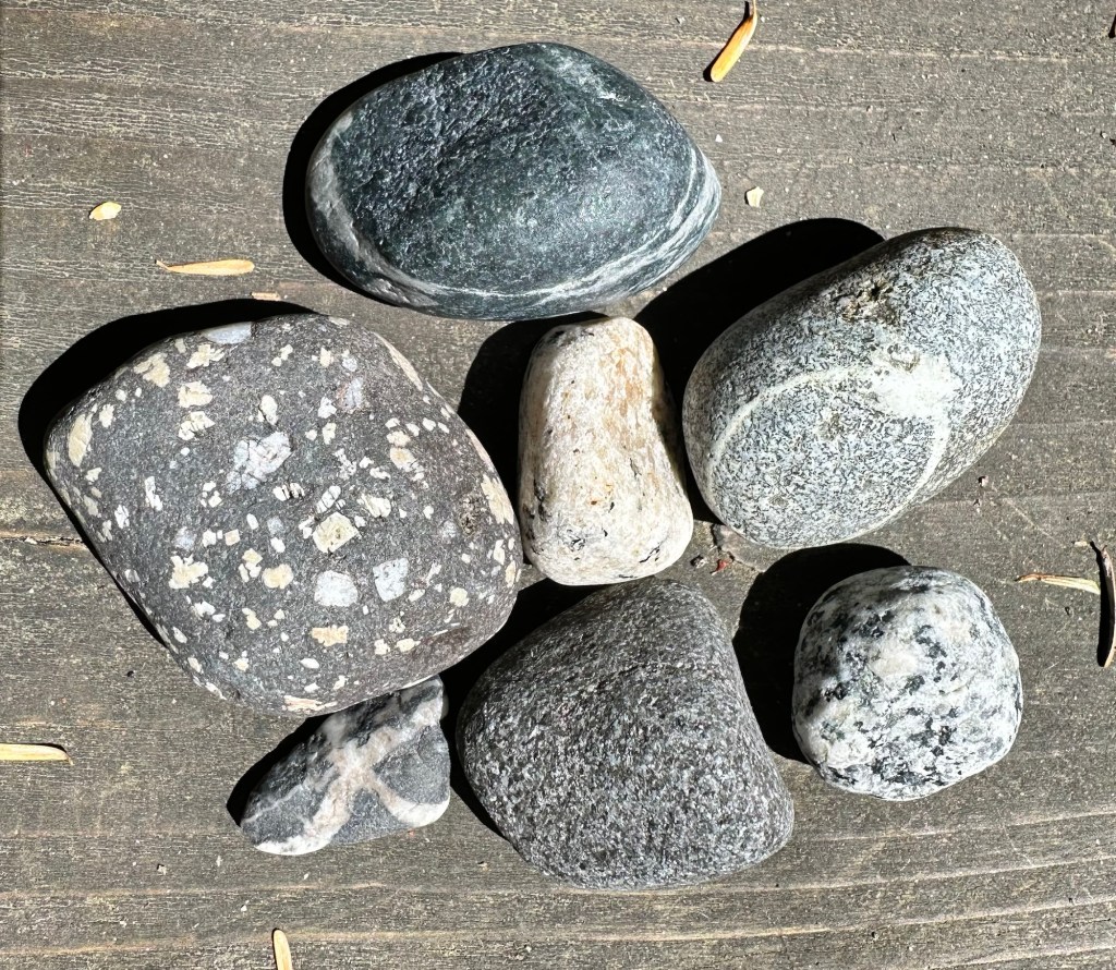 Rocks found on Fourth of July beach on San Juan Island, Washington by Happy Vegan Campers