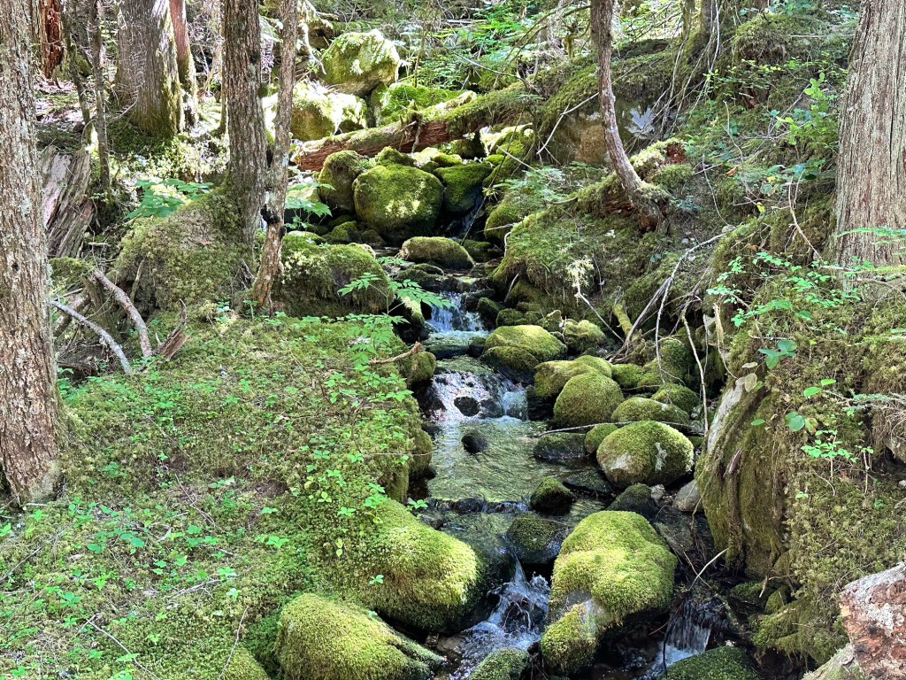 Pyramid Lake Trail at North Cascades National Park by Happy Vegan Campers