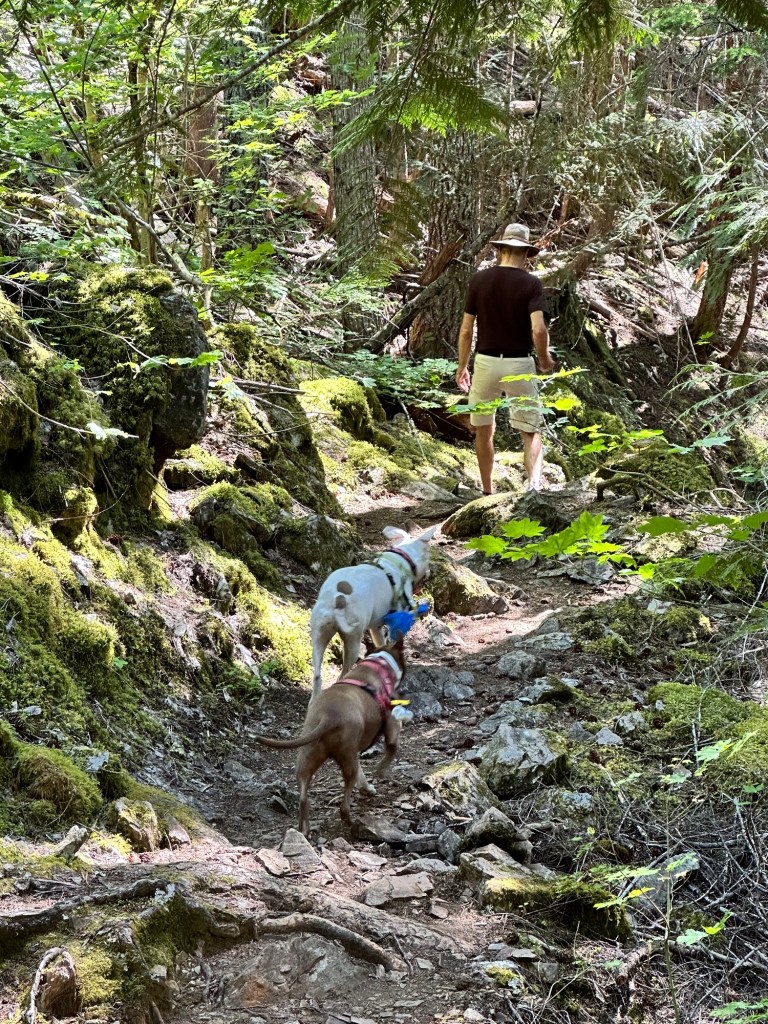 Pyramid Lake Trail at North Cascades National Park by Happy Vegan Campers