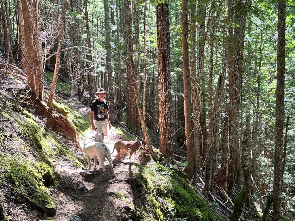 Pyramid Lake Trail at North Cascades National Park by Happy Vegan Campers