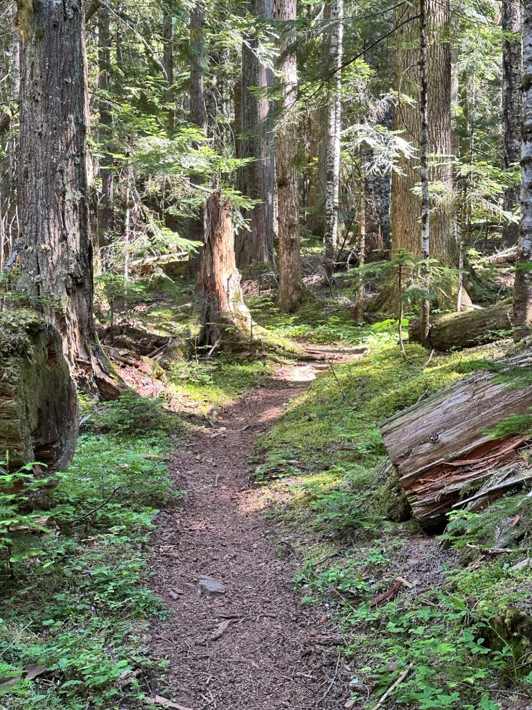 Pyramid Lake Trail at North Cascades National Park by Happy Vegan Campers