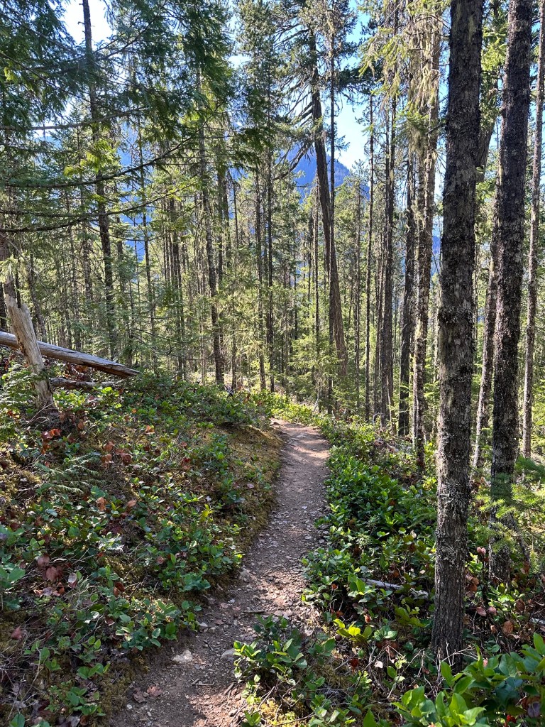 Pyramid Lake Trail at North Cascades National Park by Happy Vegan Campers