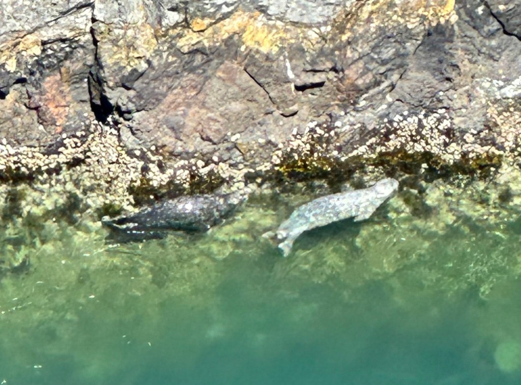 Deception Pass on Whidbey Island, Washington by Happy Vegan Campers