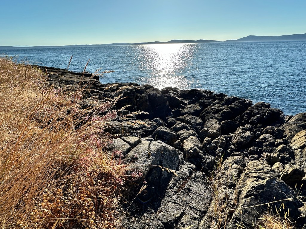 Earth’s mantle at Washington Park in Anacortes, Washington by Happy Vegan Campers