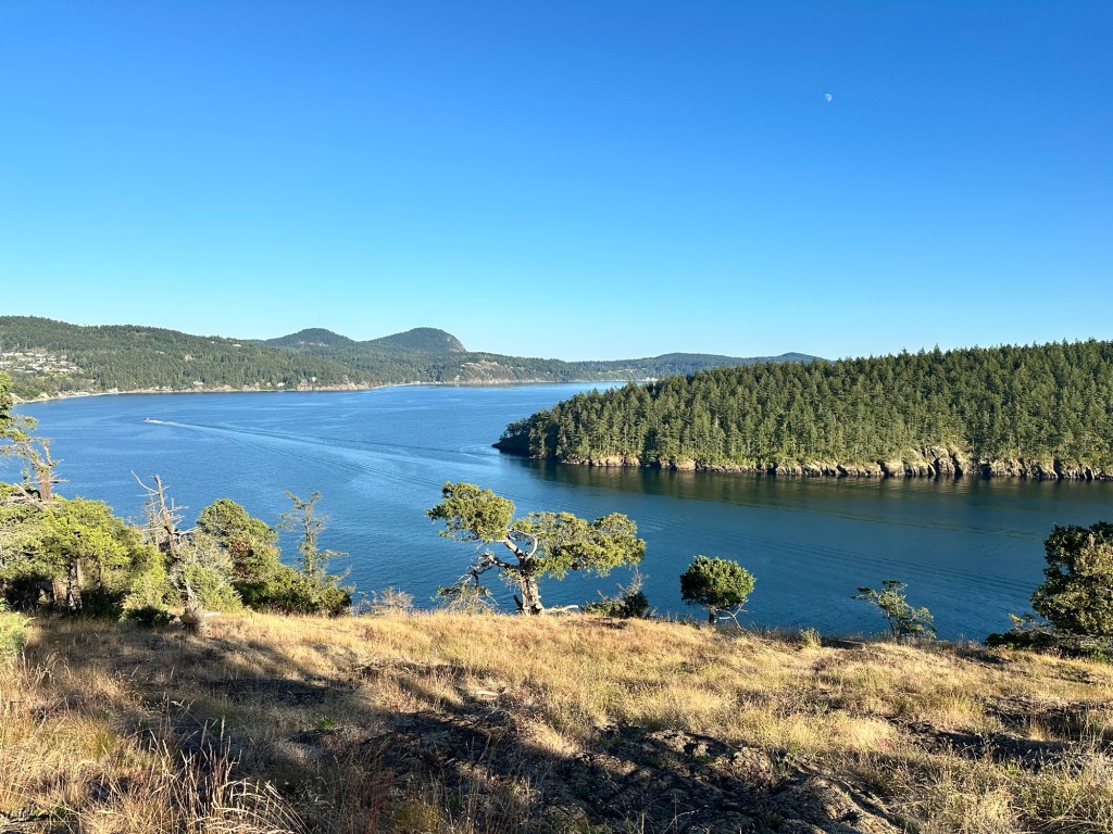 Washington Park in Anacortes, Washington by Happy Vegan Campers