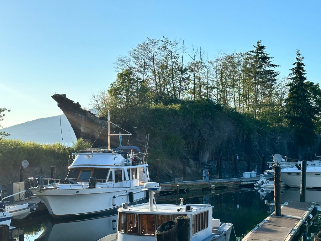 La Merca Breakwater scuttled boat in Anacortes, Washington by Happy Vegan Campers