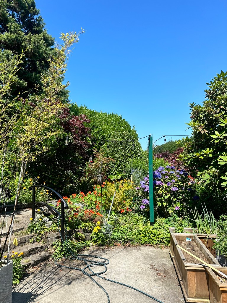 Private garden in Port Townsend, Washington by Happy Vegan Campers
