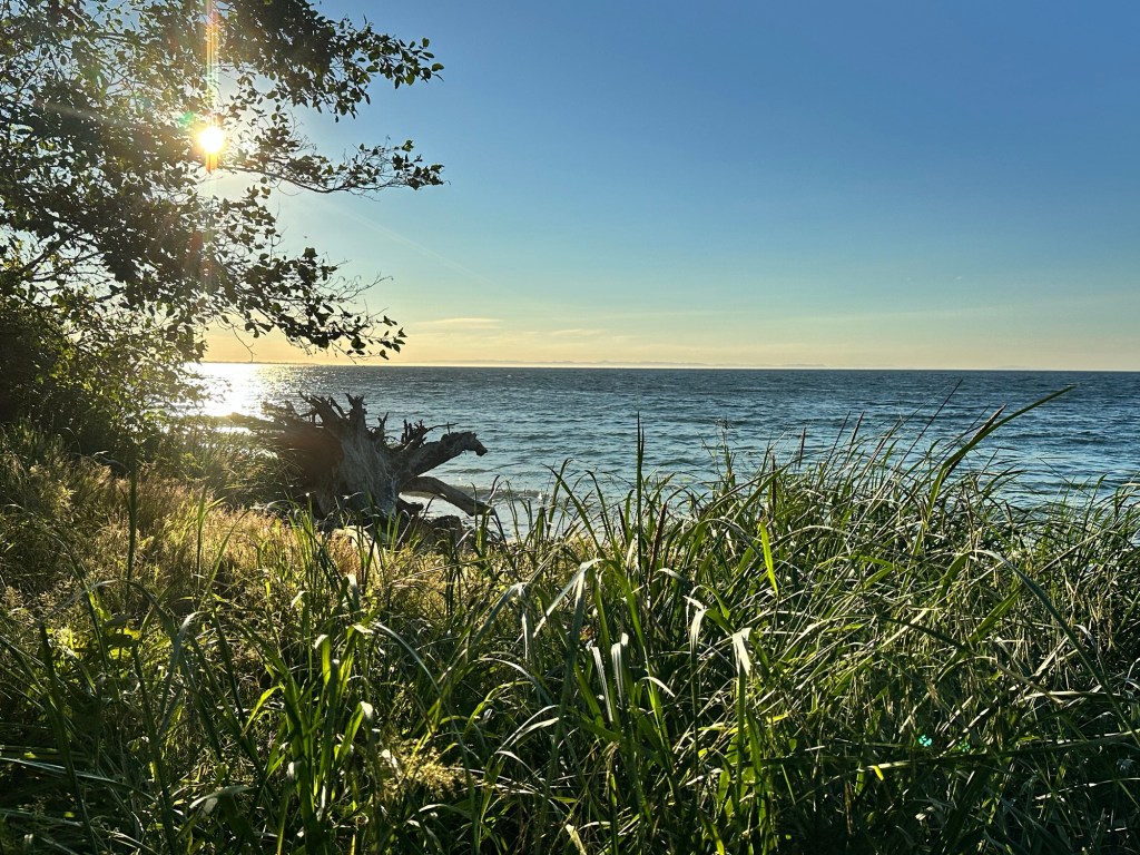 View from coast of Diamond Point, Washington by Happy Vegan Campers