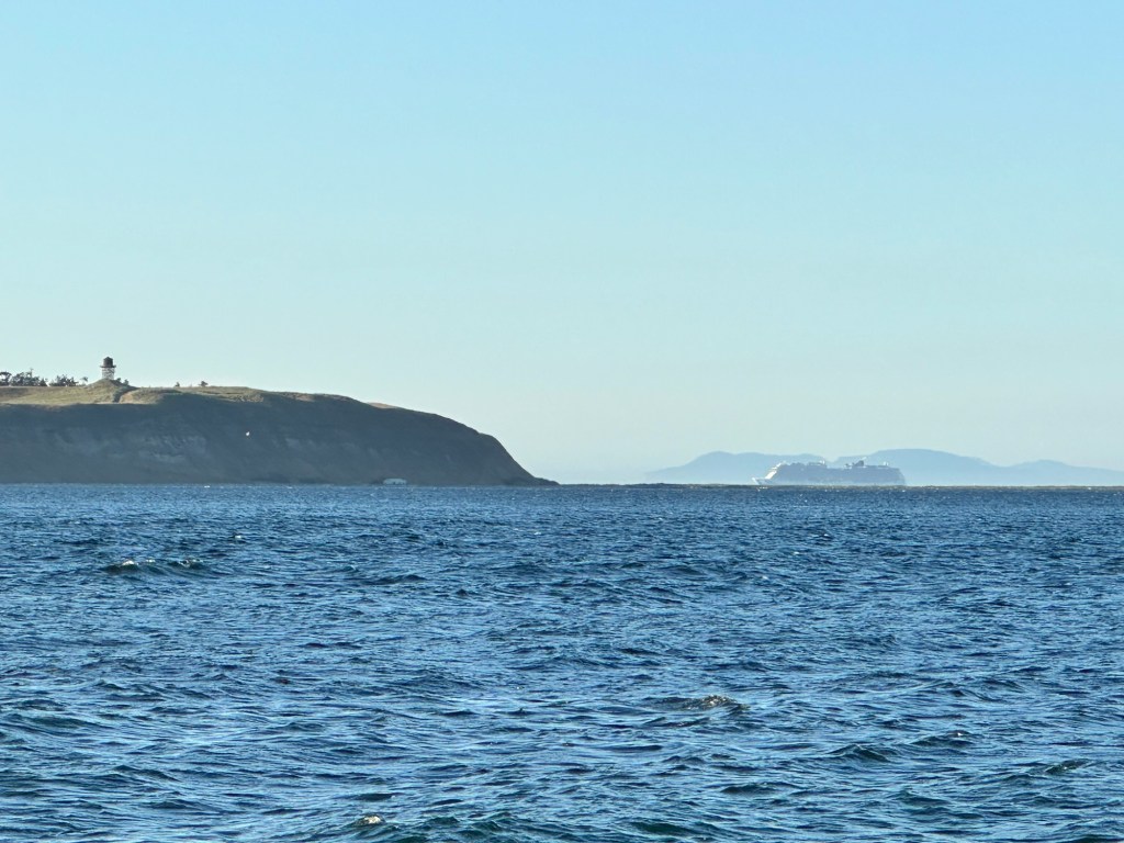Cruise ship off coast of Diamond Point, Washington by Happy Vegan Campers