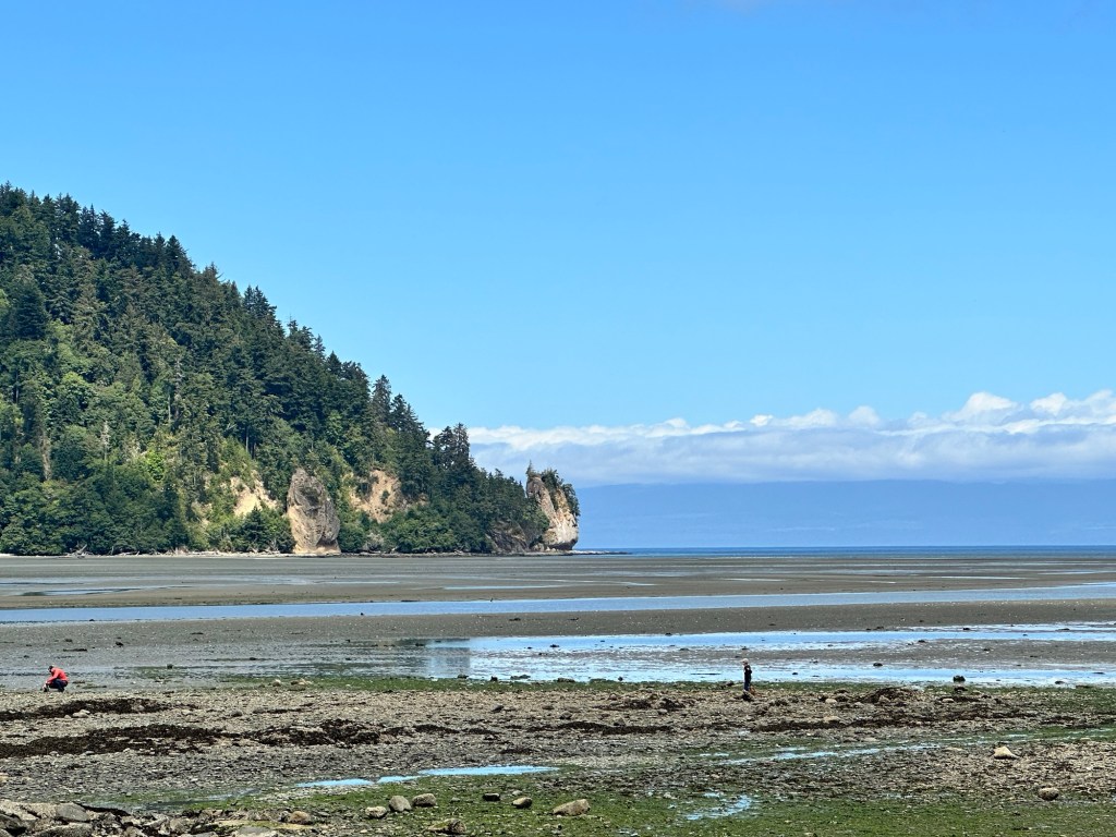 Pillar Point Recreation Area in Clallham Bay, Washington by Happy Vegan Campers