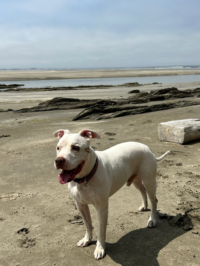Peter at Bahobohosh Point in Washington by Happy Vegan Campers