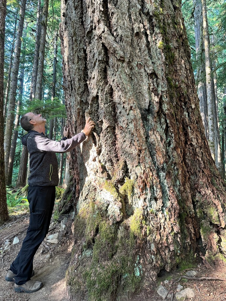 Daniel with a large tree at Ancient Groves Nature Trail in Olympic National Park, Washington by Happy Vegan Campers