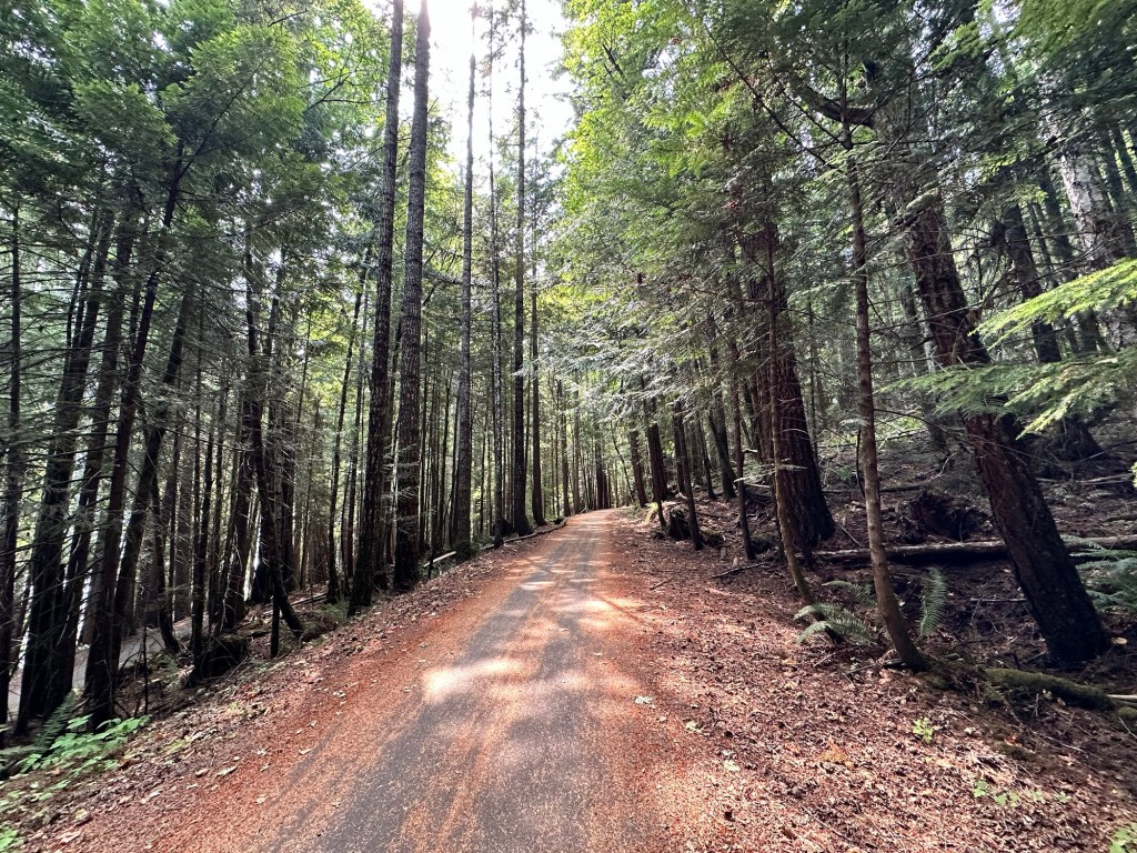 Spruce Railroad Trail in Olympic National Park, Washington by Happy Vegan Campers