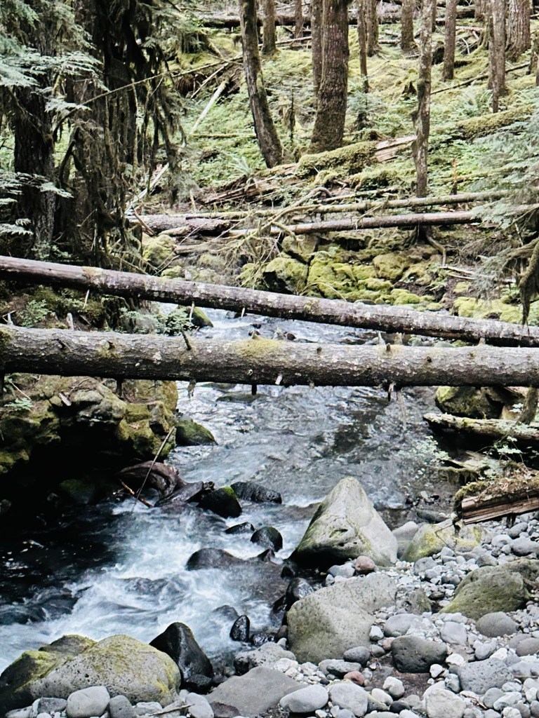 Mt. Baker-Snoqualmie National Forest by Happy Vegan Campers