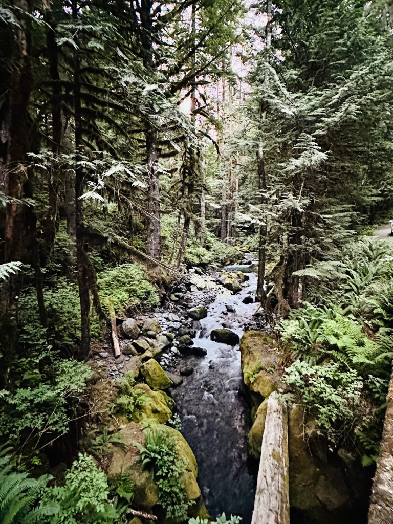 Mt. Baker-Snoqualmie National Forest by Happy Vegan Campers