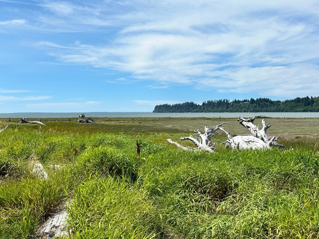 Greys Harbor National Wildlife Refuge Sandpiper Boardwalk in Hoquiam, Washington by Happy Vegan Campers