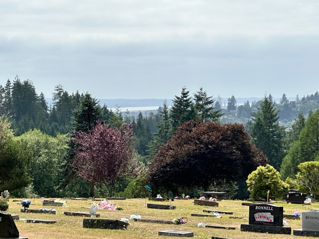 View from cemetery of Aberdeen, Washington by Happy Vegan Campers